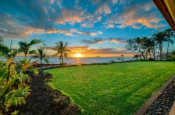 Photos